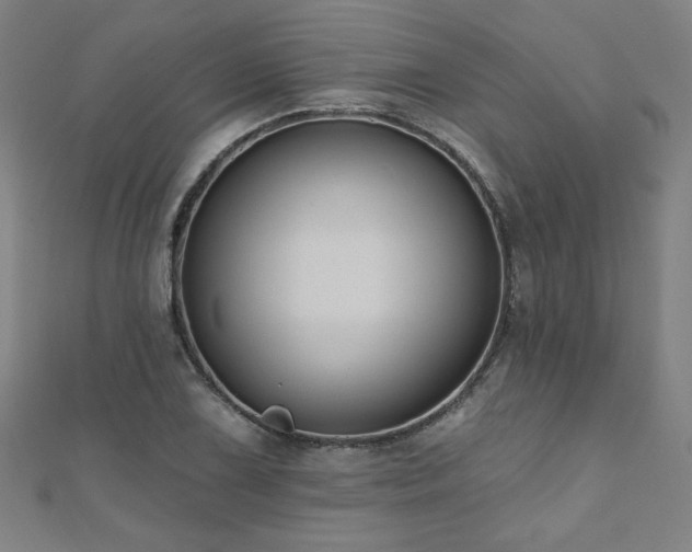 X0000112521075200908171349
