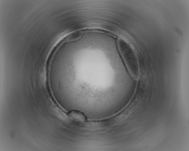 X0000112521076200908171349