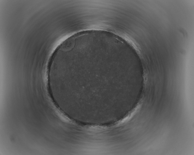 X0000112521077200908171349