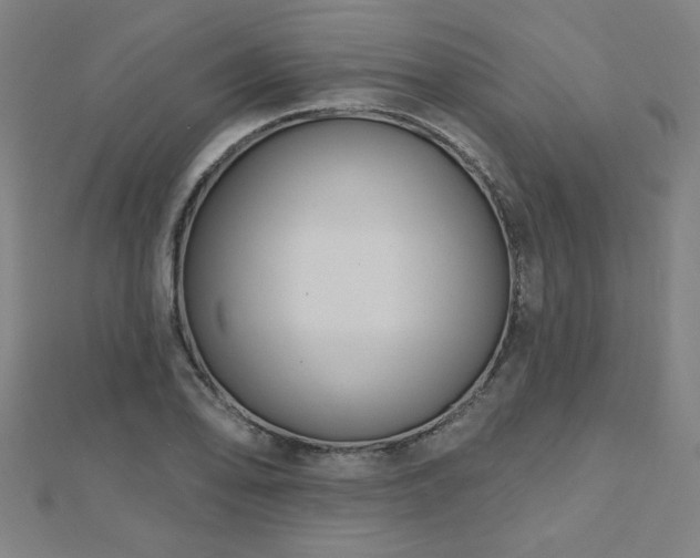 X0000112521078200908171349