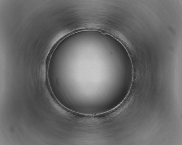 X0000112521079200908171349