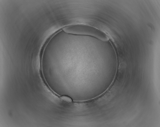 X0000112521080200908171349