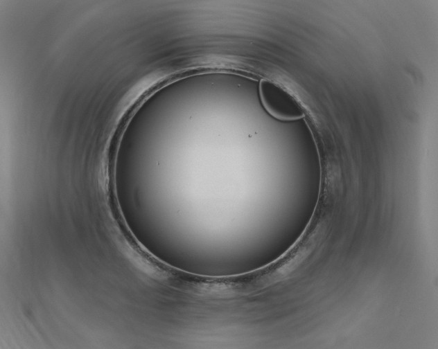 X0000112521082200908171349