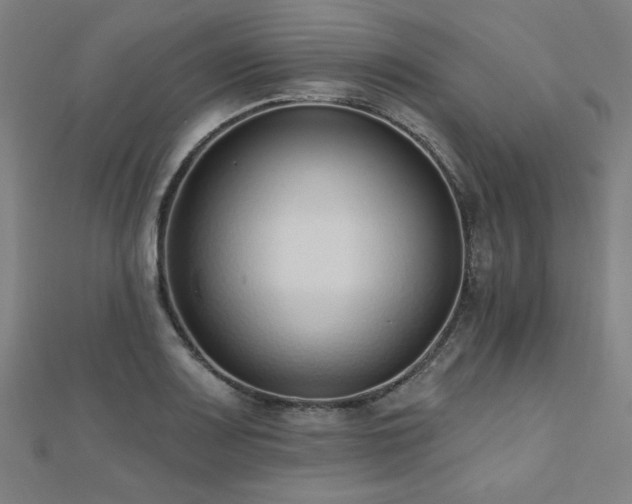 X0000112521083200908171349