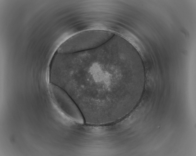 X0000112521084200908171349