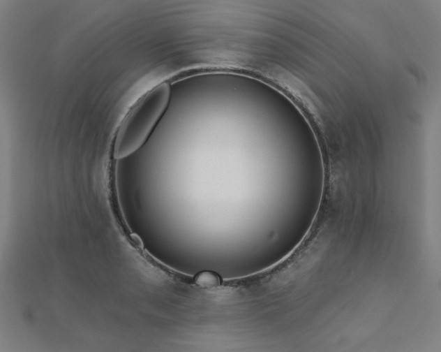 X0000112521085200908171349