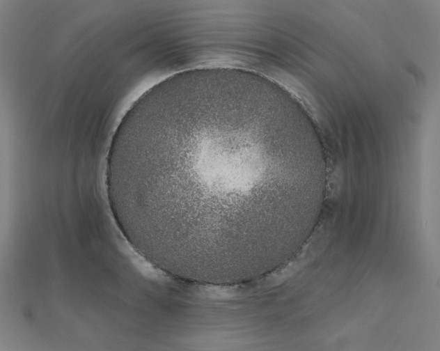 X0000112521086200908171349