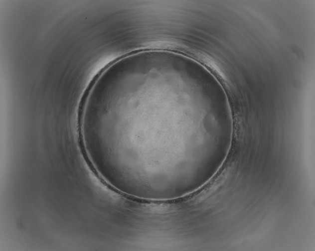 X0000112521087200908171349