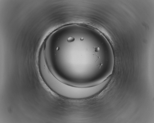 X0000112521088200908171349
