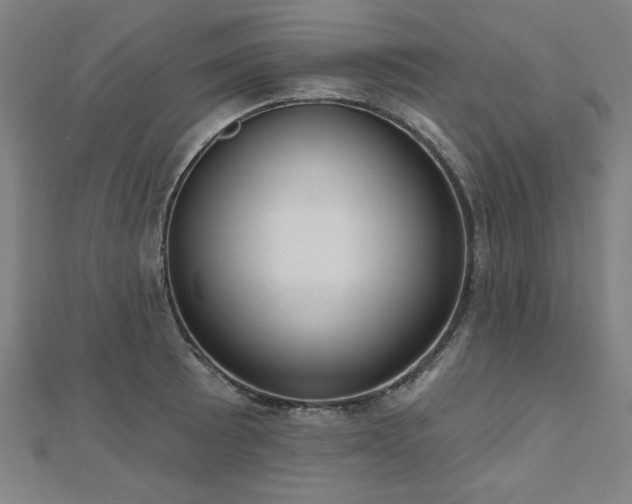 X0000112521089200908171349