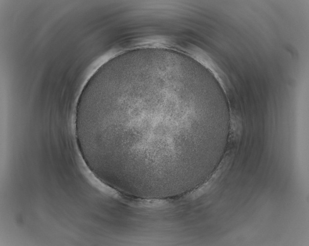 X0000112521090200908171349