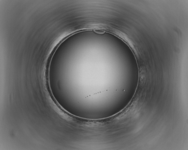 X0000112521091200908171349