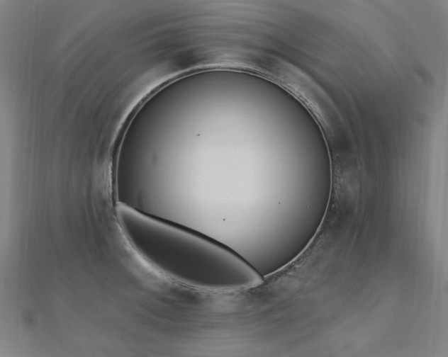 X0000112521092200908171349