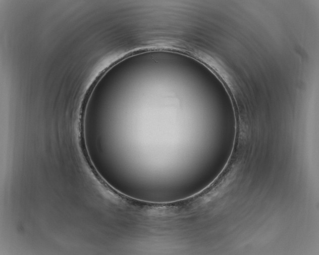 X0000112521093200908171349