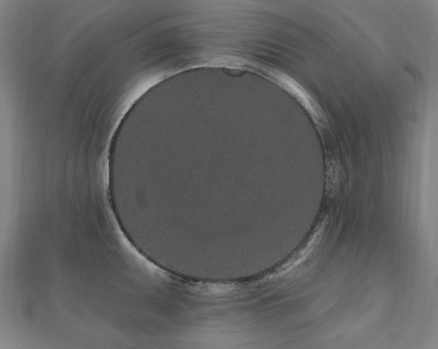 X0000112521095200908171349