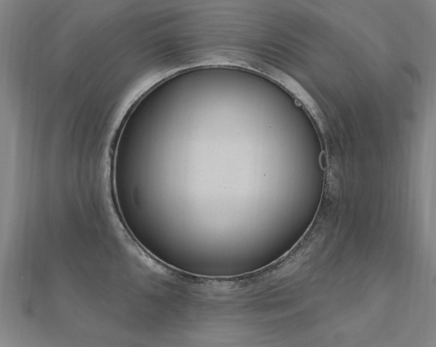 X0000112521096200908171349
