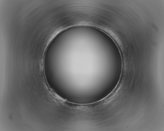 X0000112521097200908171349