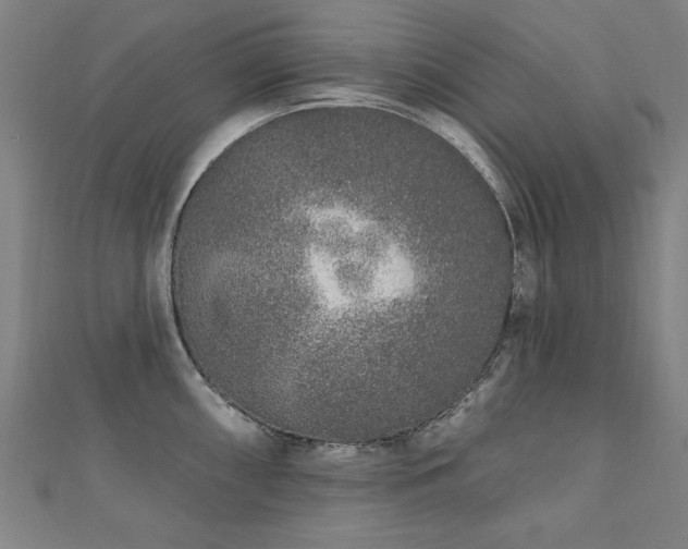 X0000112521098200908171349