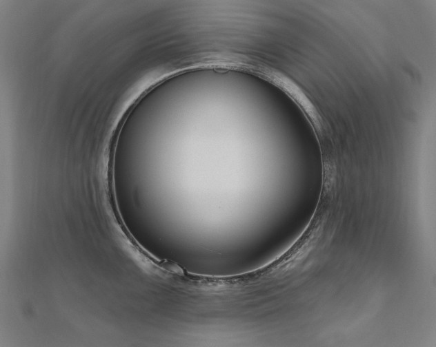 X0000112521099200908171349