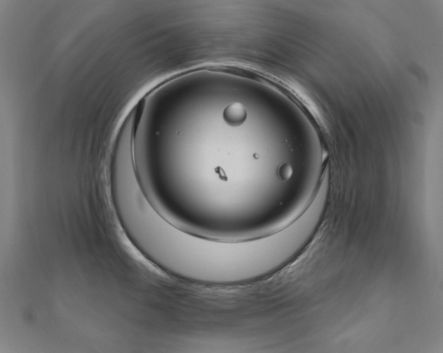 X0000112521100200908171349