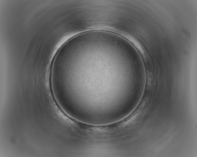 X0000112521102200908171349