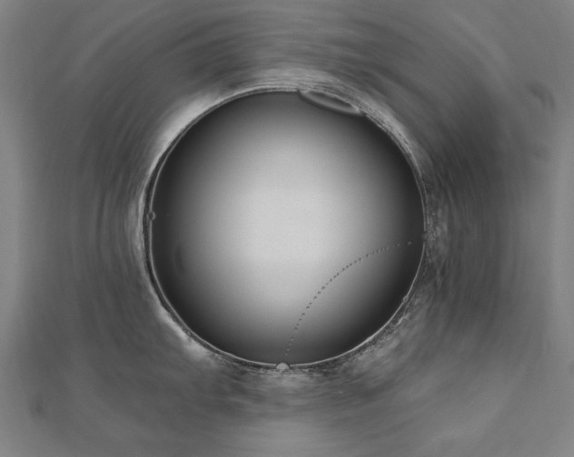 X0000112521103200908171349