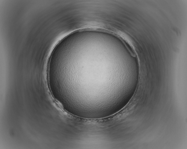 X0000112521104200908171349