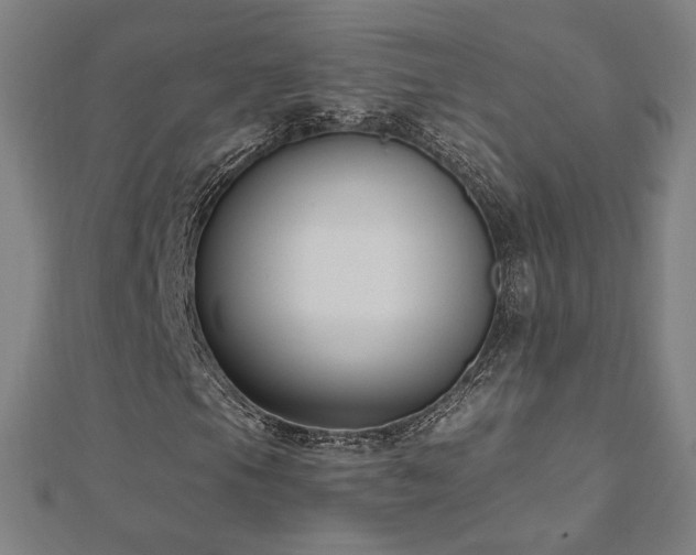 X0000112521105200908171348