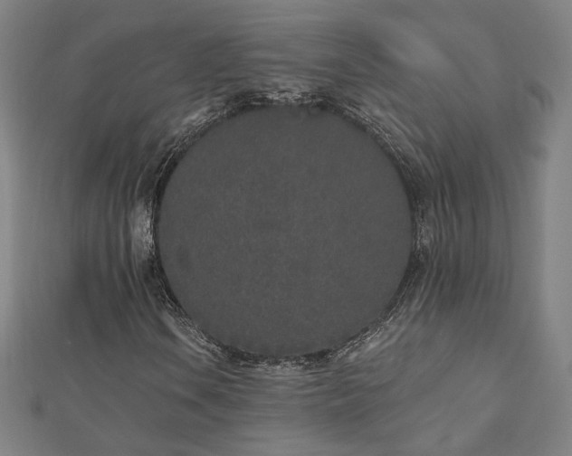 X0000112521106200908171348