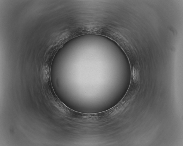 X0000112521107200908171348