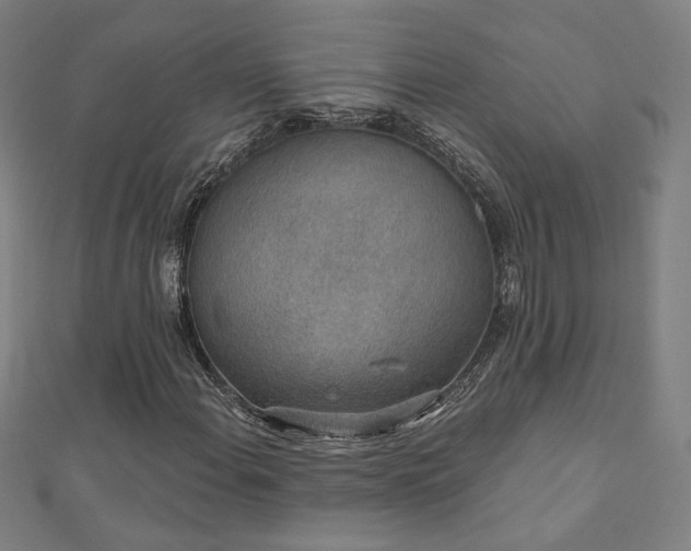 X0000112521108200908171348