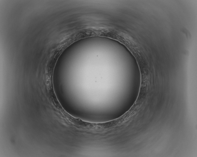 X0000112521109200908171348