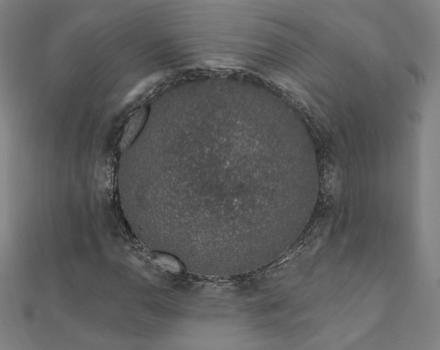 X0000112521110200908171348