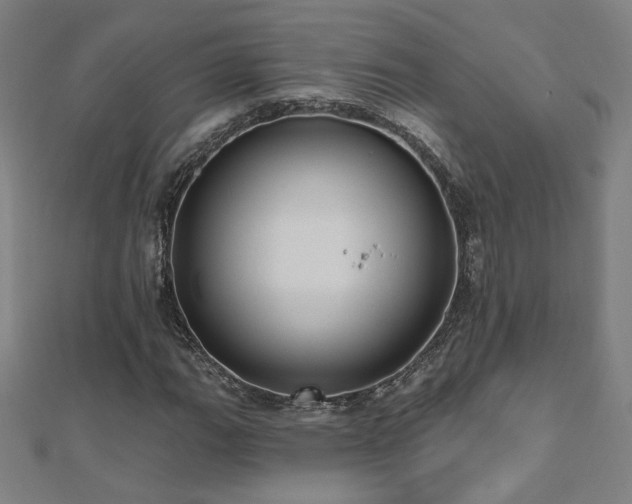 X0000112521111200908171348