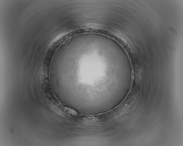X0000112521112200908171348