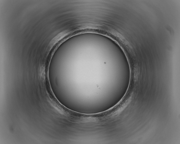 X0000112521113200908171348
