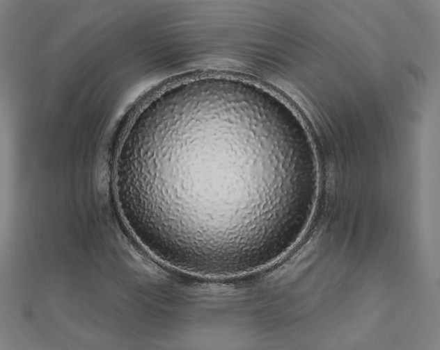 X0000112521115200908171349