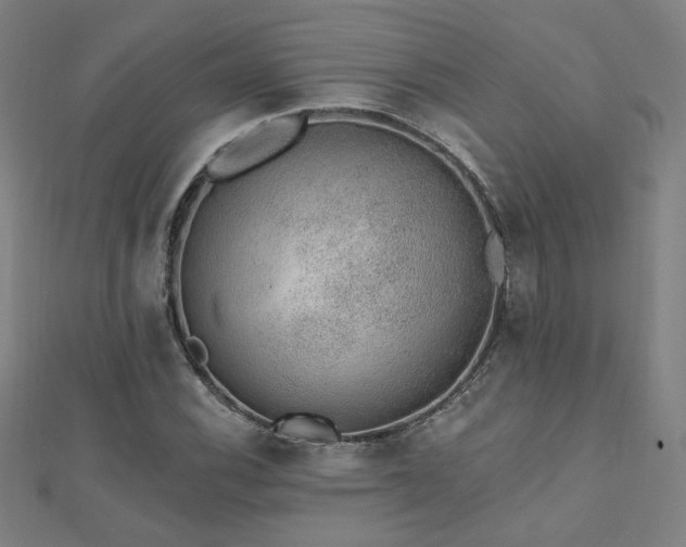 X0000112521116200908171349