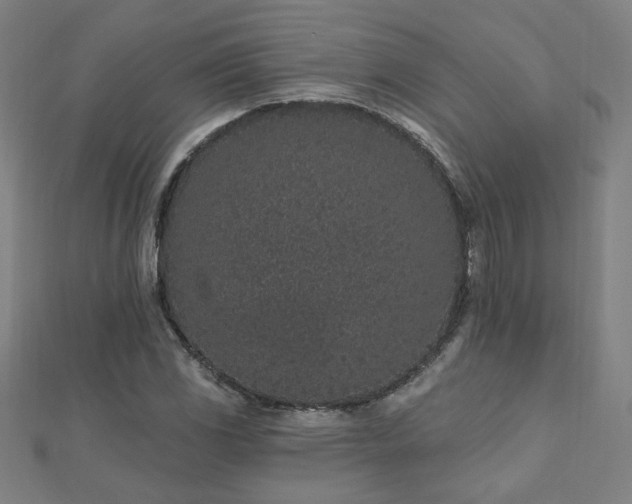 X0000112521117200908171349
