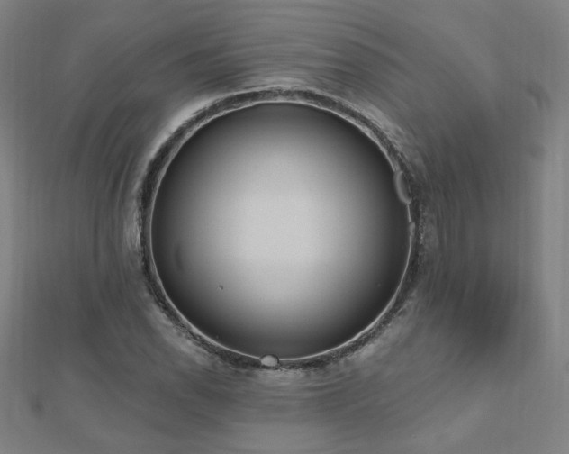X0000112521118200908171349