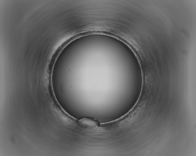 X0000112521119200908171349