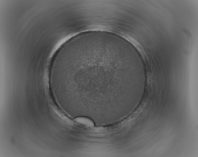 X0000112521120200908171349