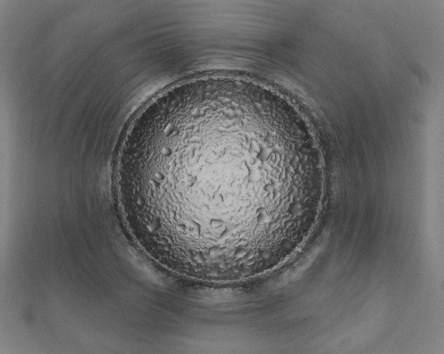 X0000112521121200908171349