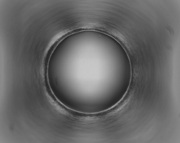 X0000112521122200908171349