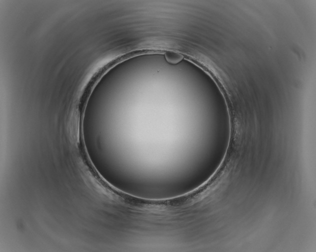 X0000112521123200908171349