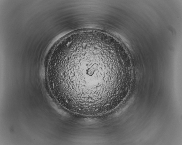 X0000112521125200908171349