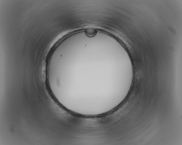 X0000112521126200908171349
