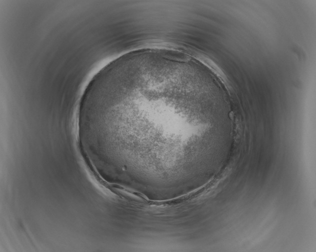 X0000112521128200908171349