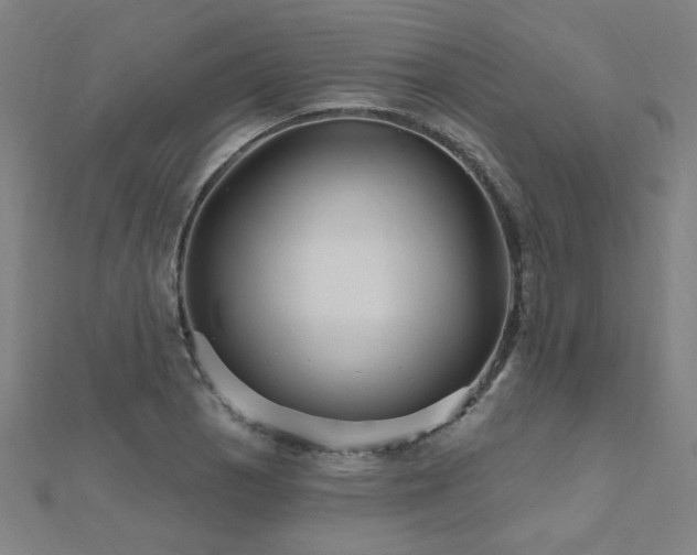X0000112521129200908171349