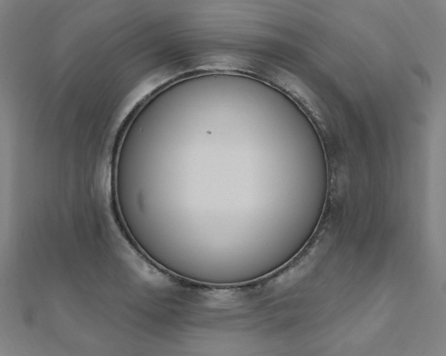 X0000112521130200908171349